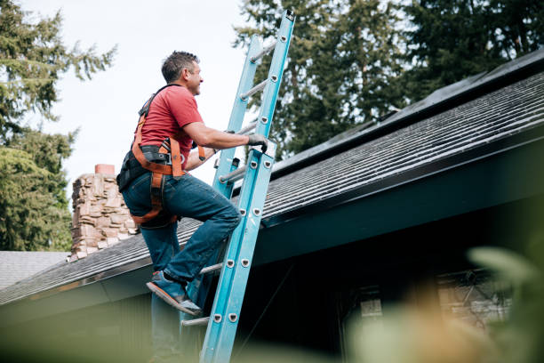 Best Roof Maintenance and Cleaning  in Coraopolis, PA